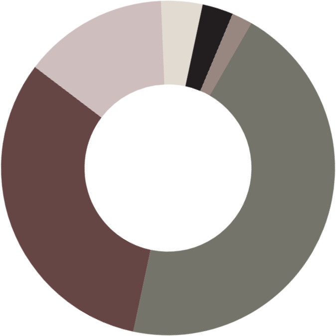 pie chart